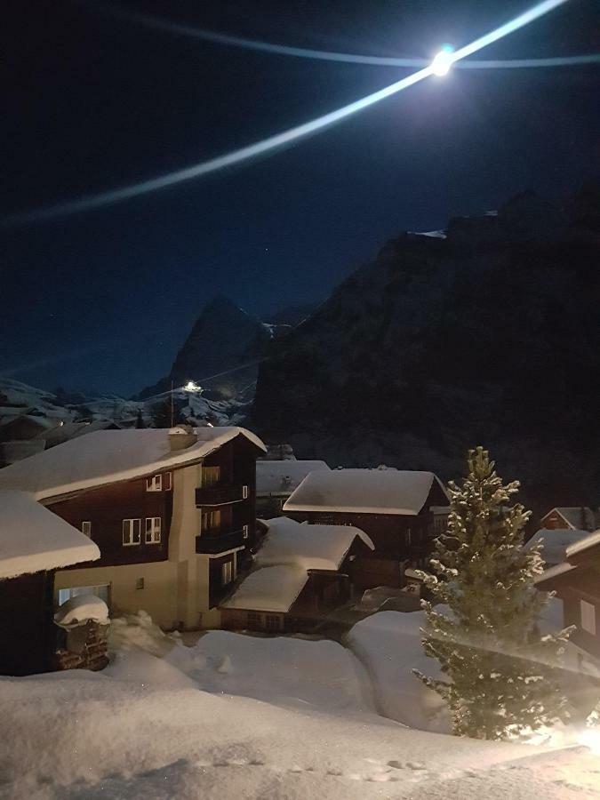 Chalet Anemone 2 Lejlighed Mürren Eksteriør billede