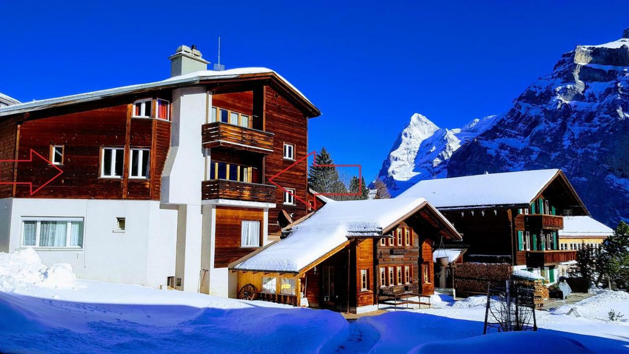 Chalet Anemone 2 Lejlighed Mürren Eksteriør billede